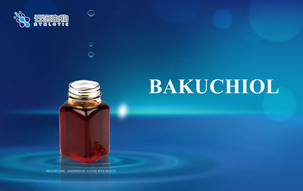 வயதானதைத் தடுக்கும் மூலப்பொருள்கள் காலமற்ற சருமத்திற்கு முக்கியமானது எது?